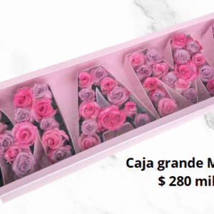 Caja Grande Mamá